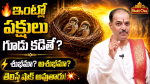 మీ ఇంట్లో పిచ్చుకలు ...